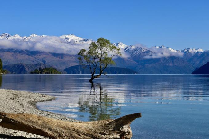 The Rest Nest Wanaka Exterior foto